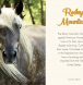 stallions, mares, horses for sale, 