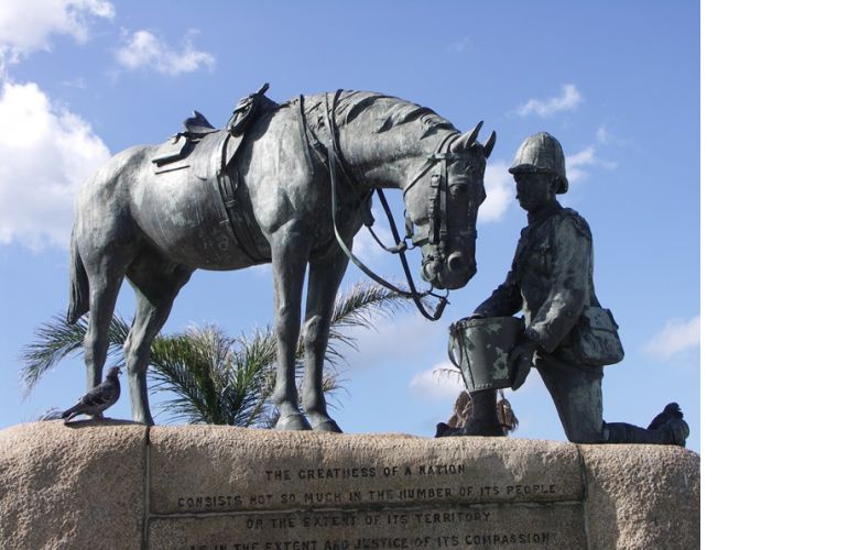 remembering horses in world wars, equine war veterans