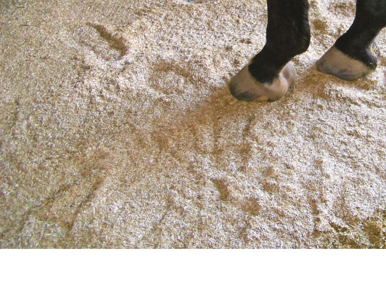 primebed, cascade hay, horse bedding canada, flax seed equine