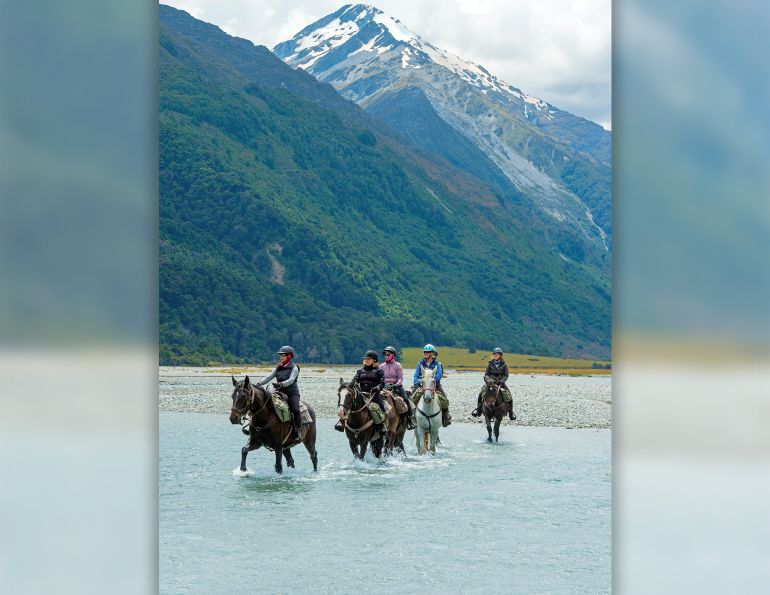 horseback riding vacations, riding horses holidays, shawn hamilton horse journalist, horse destination vacations
