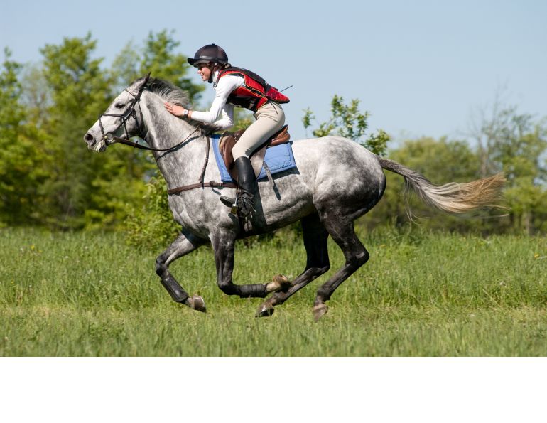 horse rider flexibility, horse rider-specific yoga, equestrian flexibility, yoga Louise Sattler, yoga for horse riders