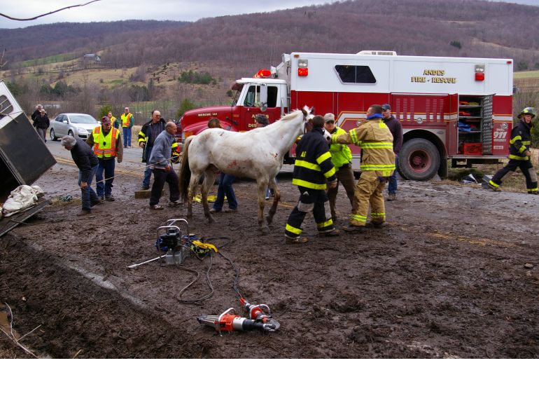 equine emergencies, what to do in case of a horse trailer accident, how to help my horse in an emergency, horse rescuers