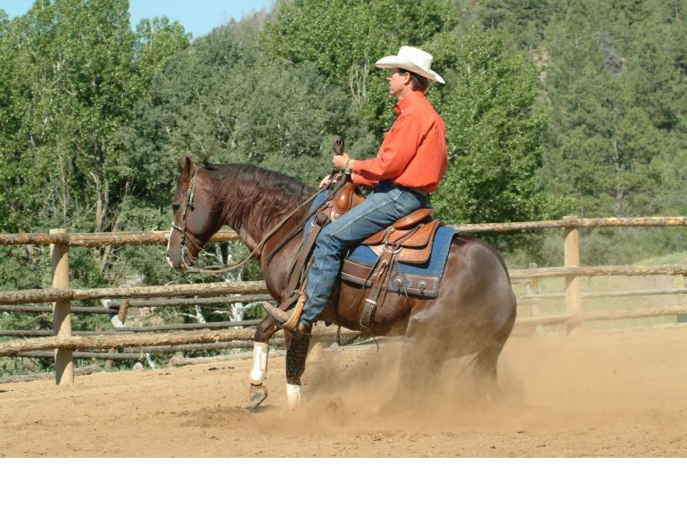 outgrowing your horse, finding perfect horse, Parelli Natural Horsemanship, Pat Parelli, horse buying tips, perfect equine partner