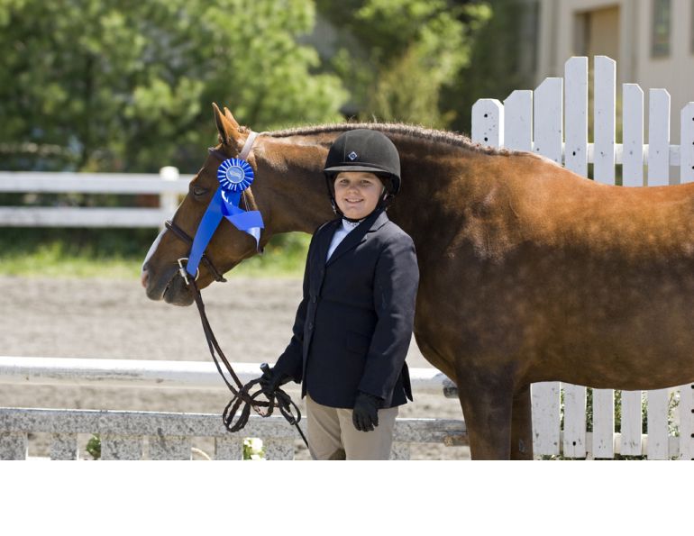 good minded horses, best horses novice riders, finding a horse for child, best horses for kids, lindsay grice