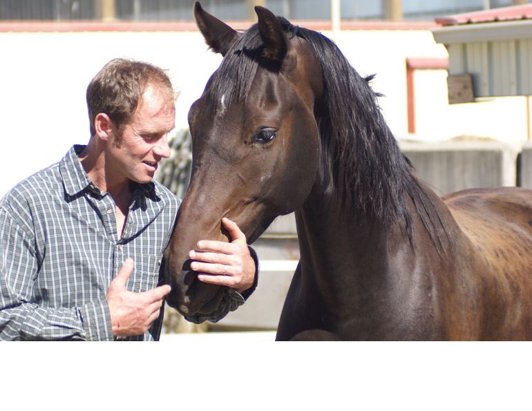Will Clinging, solving horse behavioural issues, overcoming equine behaviour issues, equine psychology