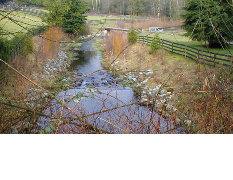 stream Horse Property, water horse acreage, waterway, leps, langlen environmental, bridge horse property, manure maiden