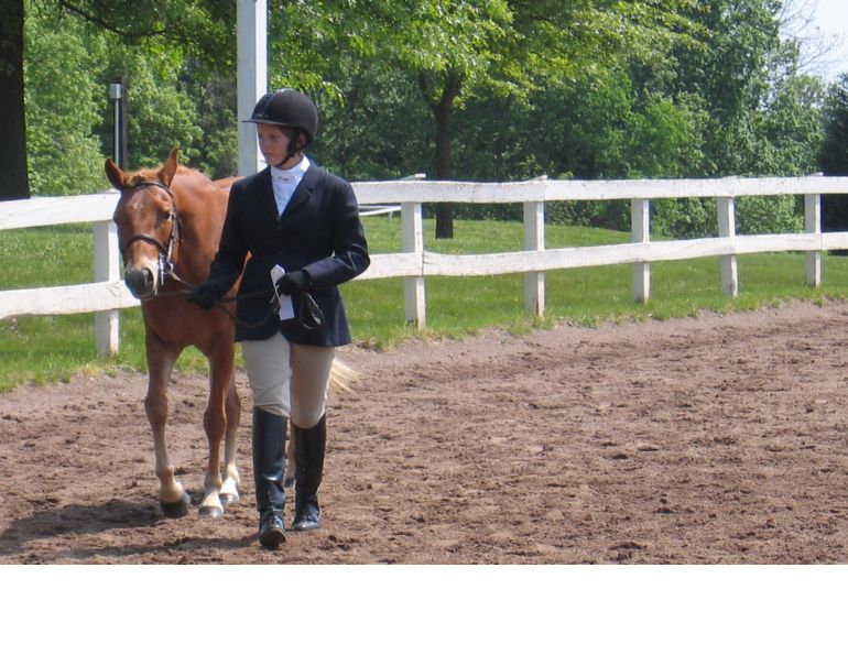 A Willing Trot in Showmanship