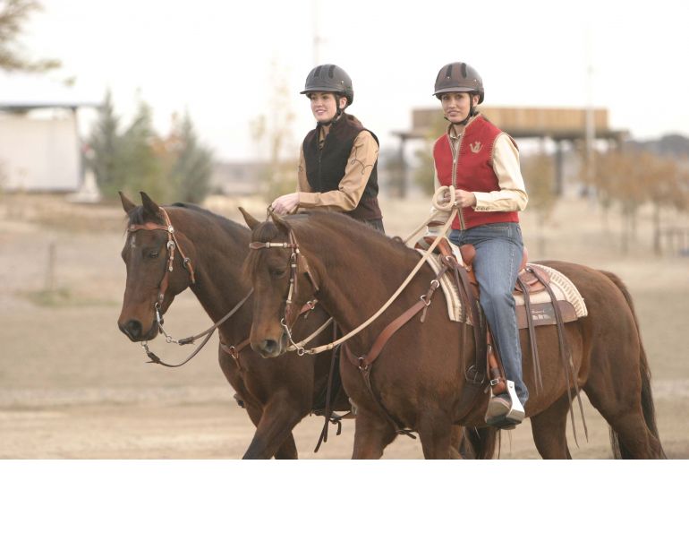 horse trail riding tips, horse riding near home, trail riding young horse