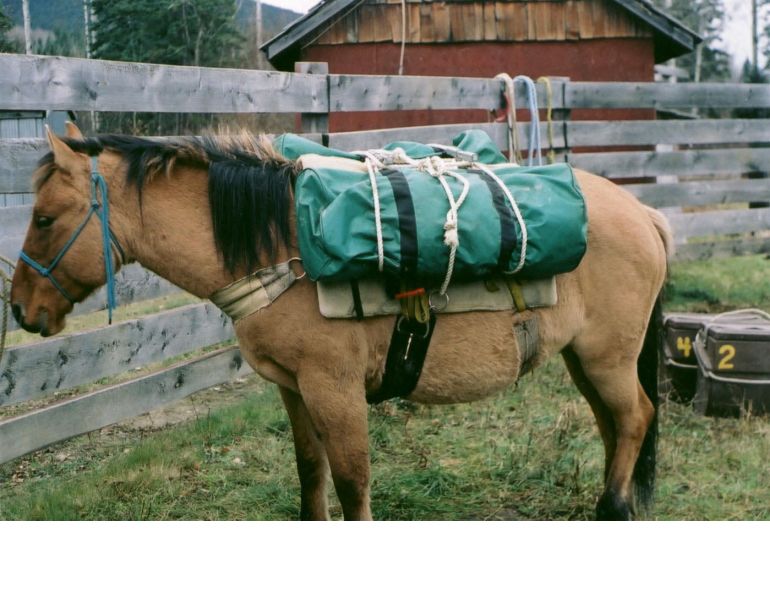horse camping, packing for horseback trip, packing for horse trail ride, stan walchuk jr