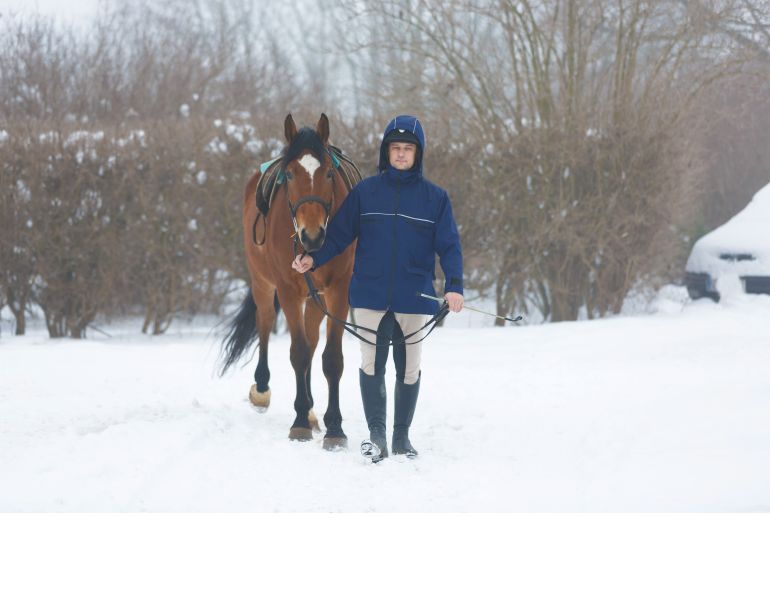 winter riding, cooling out horse, horse snow, riding in show, cold weather riding