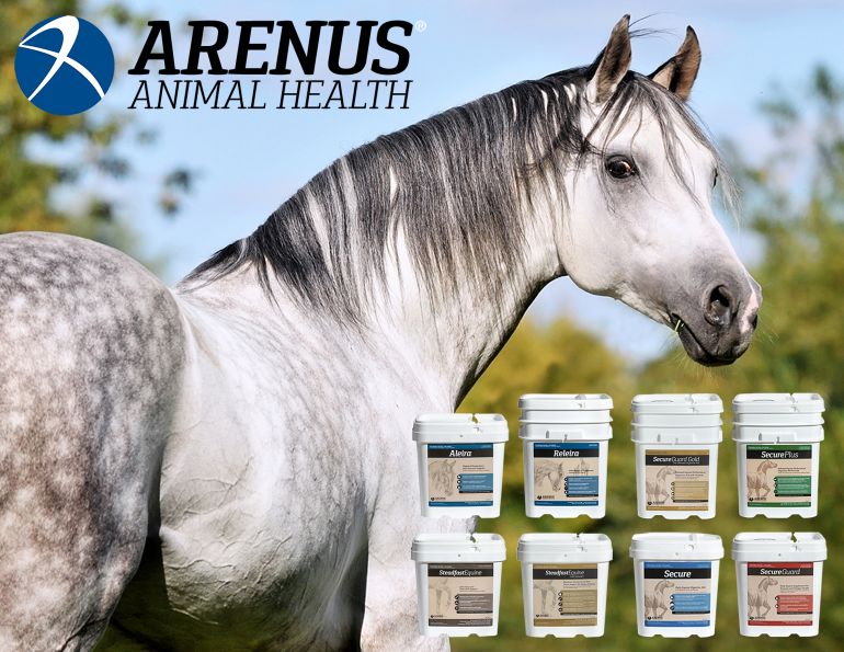 arenus equine nutrition, best equine nutrition products and horse supplements steadfast horse nutrition, colic assurance program arenus, aleira equine nutrition, relaira by arenus
