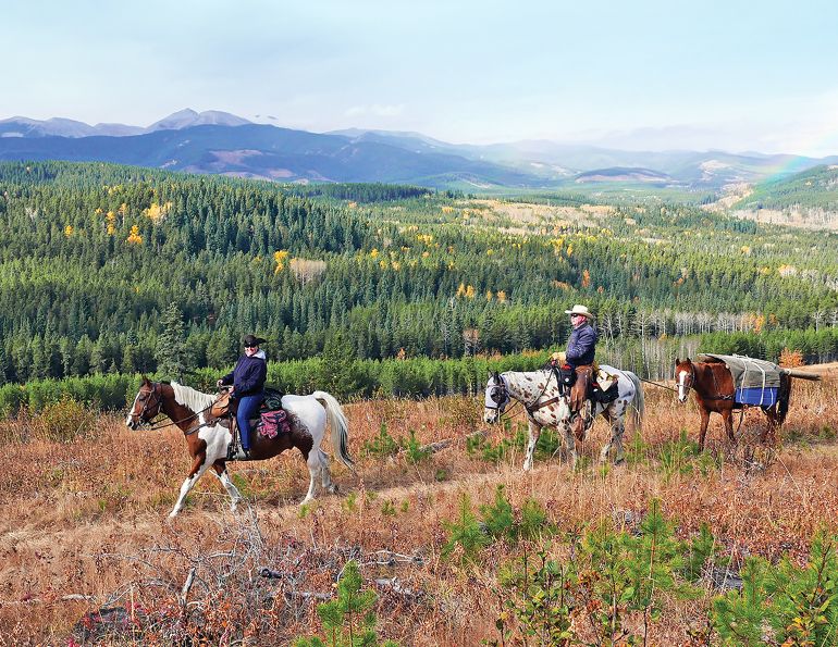 trail riding canada, back country horse riding, canada's horse riding trails, protecting riding trails canada, back country horsemen of BC, PEI horse riders