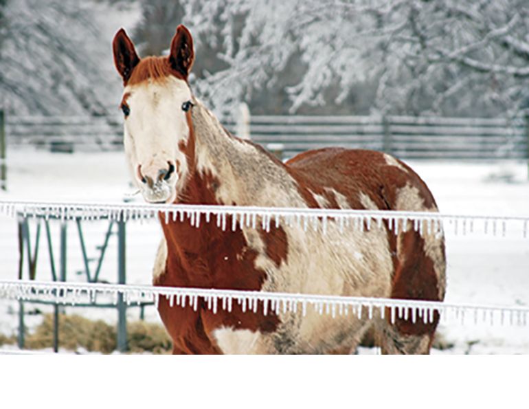 Making Sure Your Horse Has Water During Severe Winter Storms – The Horse