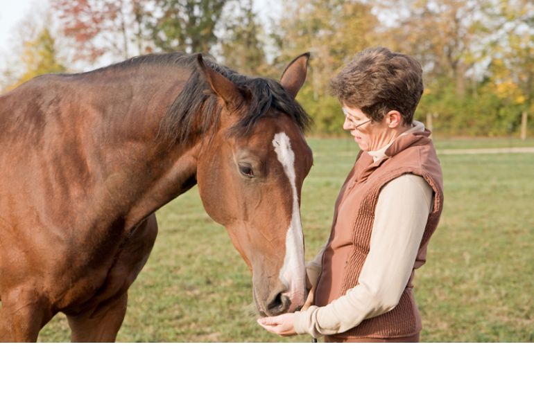 equine gastric ulcers, equine oral supplements, horse supplements, horse nutraceuticals, equine nutraceuticals. Shelley Nyuli, Sciencepure Nutraceuticals, Ralph Robinson, Herbs for Horses, equine joint, equine digestion