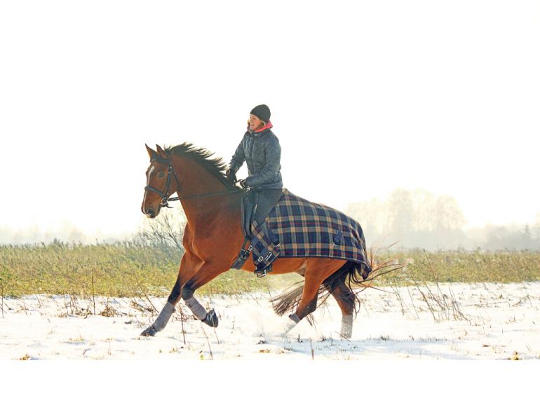 winter riding, riding in winter, horse riding in the winter, winter riding clothes, cooling horse out winter, equine quarter sheet, horse quarter sheet, weatherproof tack, horse riding jackets