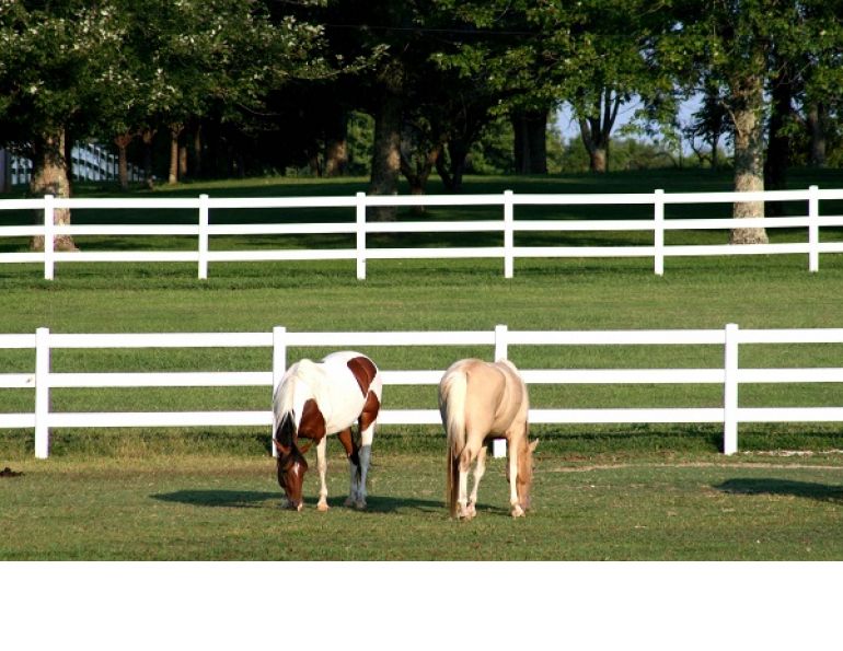 horse fencing, equine fencing, ferris fencing, system fencing, gardner fence, cf fence, electric fencing, vinyl fencing, wire fencing, build horse fence