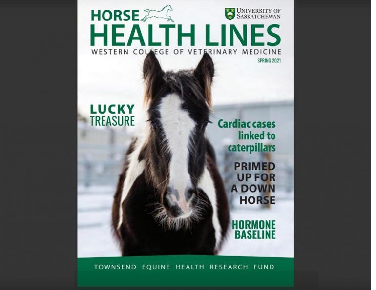 wcvm horse health lines 2021, western college of veterinary medicine equine, horse studies university of saskatchewan