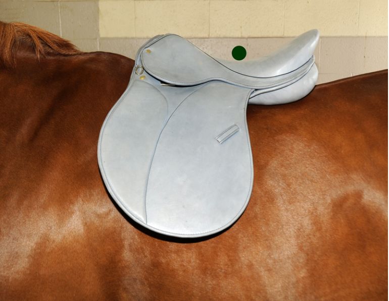 9 Point Saddle Fit, Jochen Schleese, proper horse saddle fitting, Withers Clearance, Gullet width, channel Width, horse saddle tree angle, equine saddle fitting