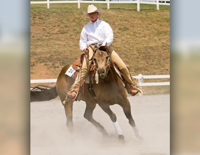 turn on the haunches how to, what is a horse pinwheel turn, groundwork horse, lindsay grice horse trainer