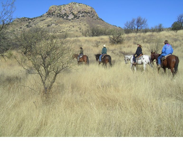 Circle Z Ranch, winter horse holidays, horse rider retreat,