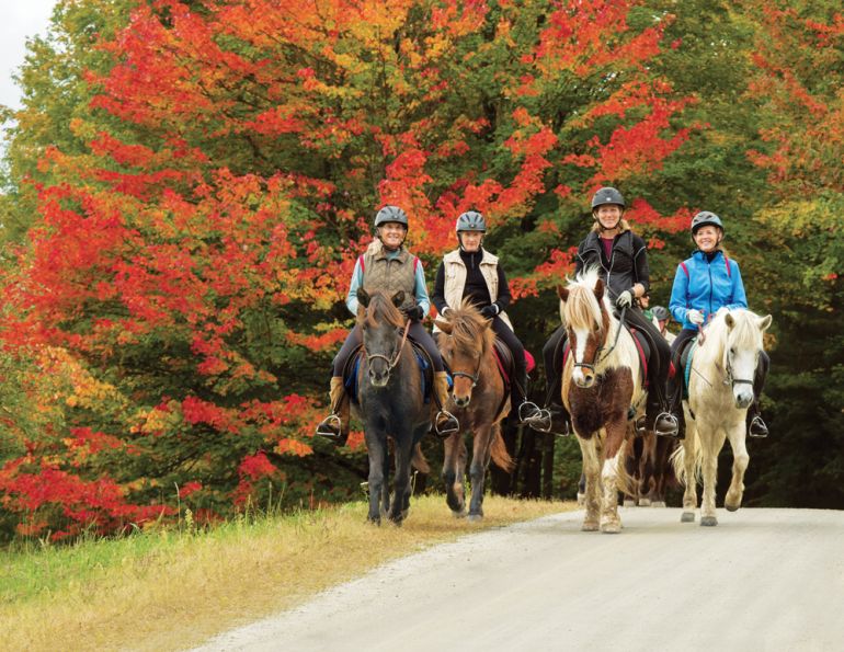 horse riding holidays in vermont, best places horse holiday, horseback riding holidays usa, horse riding in the fall, shawn hamilton, vermont icelandic horse farm