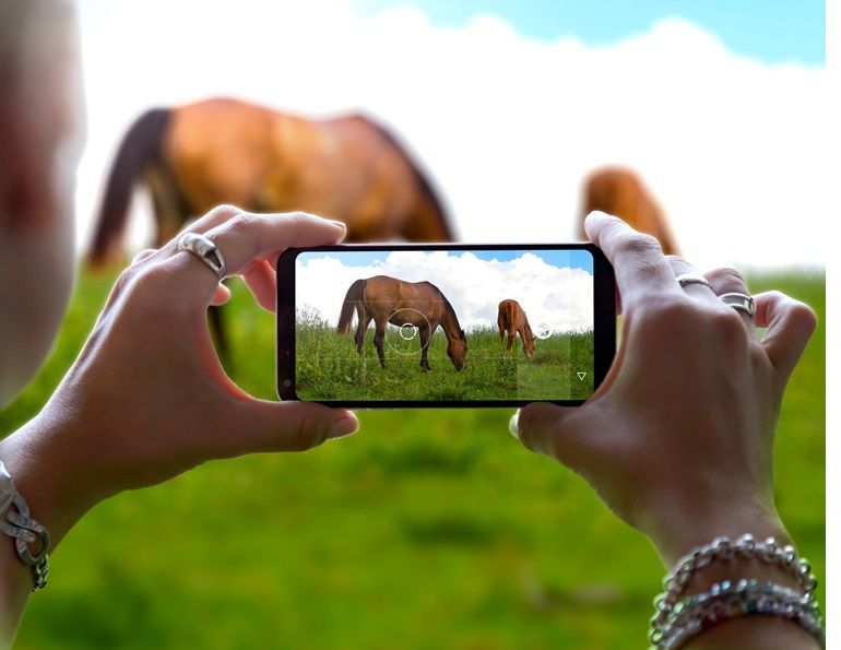 marketing instagram equestrians, equestrian online media, how often to post instagram
