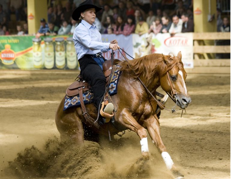 Analyzing Reining Horse Conformation, Lisa Coulter, strong-boned with short, well-sloped pasterns, equine topline, horse conformation, equine conformation, reining horse conformation, kentucky reining cup, nrha championships, fei ranking rider, kentucky equine research