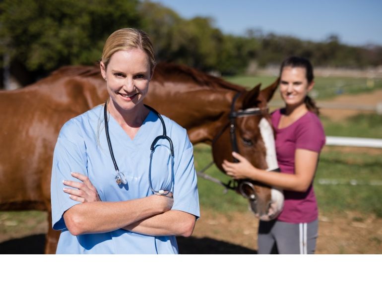 equine pre-purchase exam, how to buy a horse, how to exam a horse for purchase, horse pre-purchase exam, selling a horse pre-purchase exam, pre-purchase vet check horse