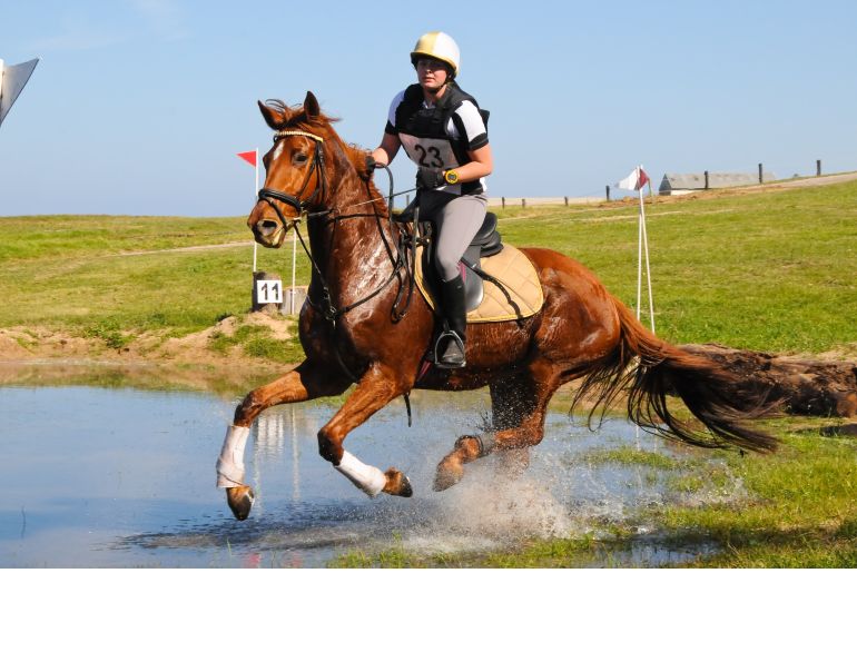 horse riding safely, safe horse riding, equine safety, horse helmets, safety stirrups
