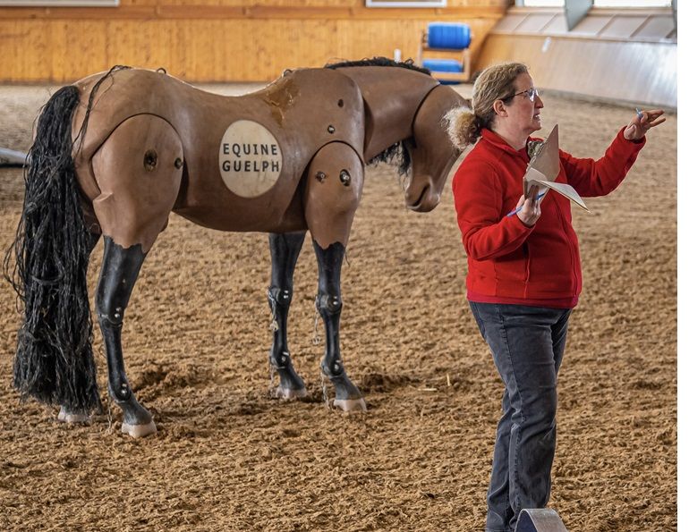 dr susan raymond, equine guelph equine research, horse commuity heroes, exceptionally horse people canada, large animal rescue courses ontario, canada horse rescue courses