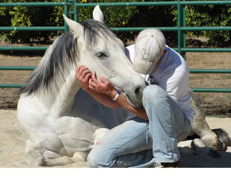 Horses as Healers, Margaret Evans, Spirit Gate Farms, Horses helping people coping with post-traumatic stress disorder ptsd, Horses increase self-awareness, Horses teach importance good communication respect, horses bring people together, horses mirror human body language
