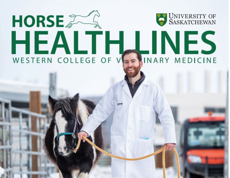 horse health lines canadian horse journal, western college veterinary medicine newsletter, wcvm equine courses, universities for veterinarians equestrians