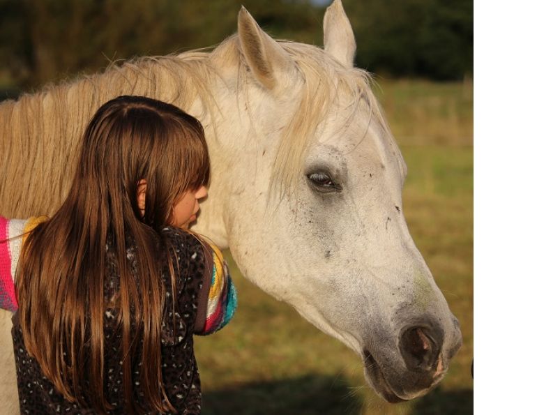 Equine-Facilitated Psychotherapy, horse therapy, equine therapy, Cummings School of Veterinary Medicine, HorsesandHumans