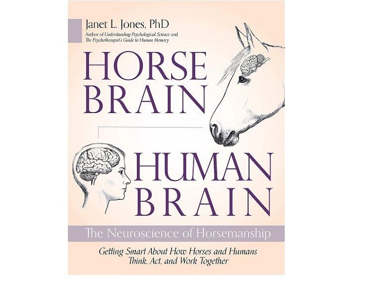 horse brain human brain book janet l jones, psychology on horses, neuroscience horsemanship