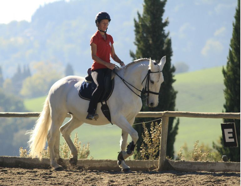 Blundstone for outlet horseback riding