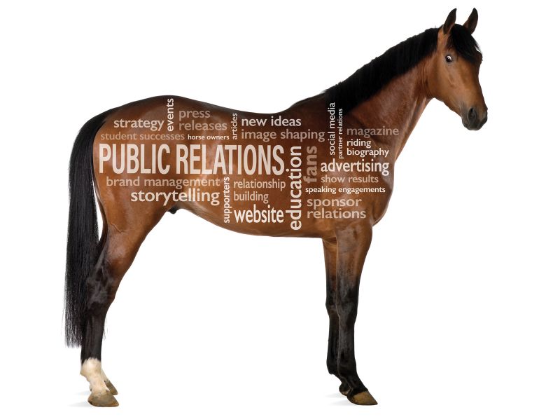 how to market horse business, marketing equestrian products, public relations for the horse industry