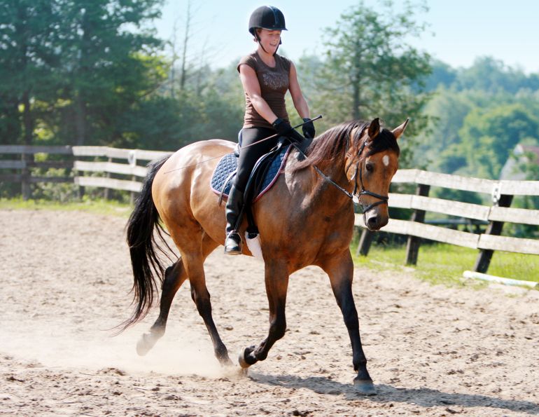 coach licensing equestrian canada, how to find a good riding coach, teach children to ride