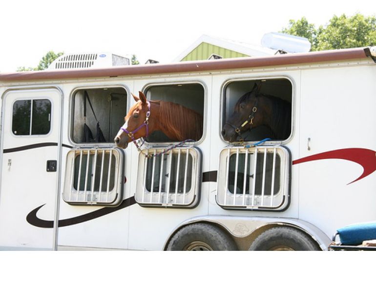 Kevan Garecki, Horse trailer choices, horse trailering, horse hauling, straight-haul designs, Angle-haul vs Straight-haul, gooseneck trailer, horse trailer braking system, bumper-pull trailer, Horse Trailer Options