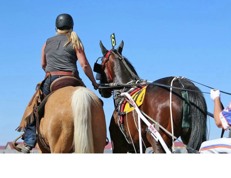 Racetrack Outrider Horses, Rachel Alexandra, Janice Lea Rocky Mountain House, Racetrack Outrider equine, Century Downs Racetrack, horse jobs Racetrack Outrider Horses