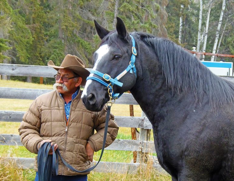 tom durocher monty roberts certified instructor, monty roberts learning center, eal canada, painted warriors boot camp, painted warriors ranch