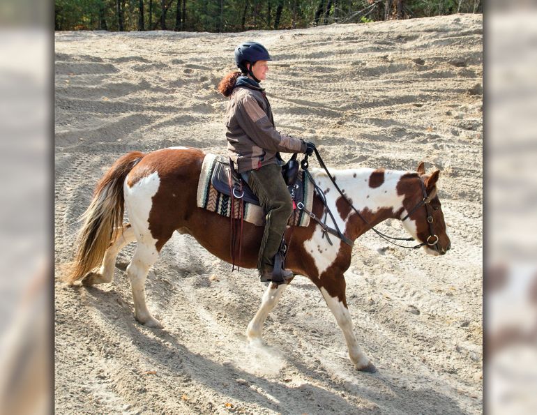 how to use hills to train horse, horse hill training, jec ballou, horse fitness, exercises for horses, best workouts for horse