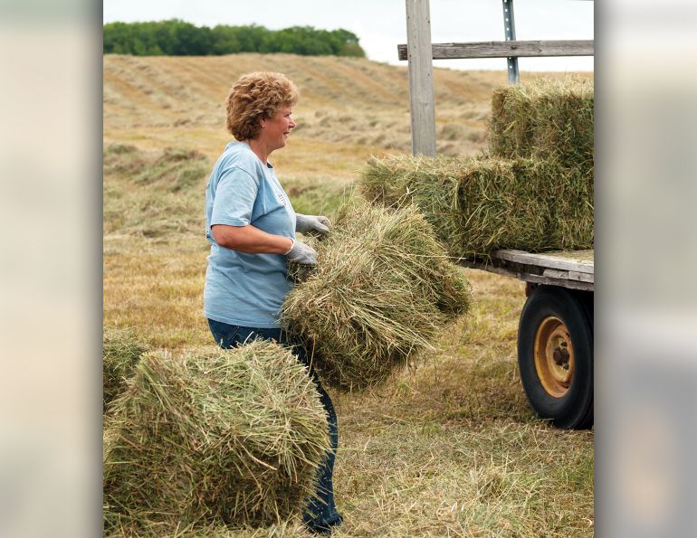 how to store horse hay, how to test horse hay, amino acids in horse hay, steam horse hay, hay fire, is brown horse hay okay