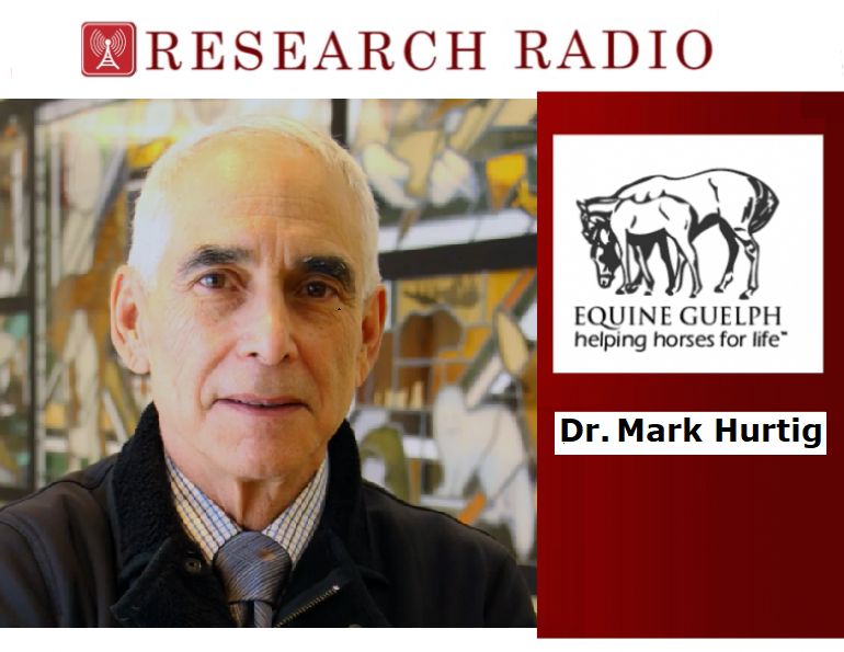 equine guelph research radio, dr. mark hurtig veterinary college, therapies equine lameness