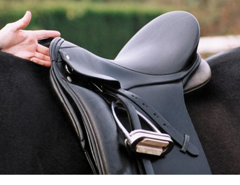 horse saddle fit, properly fitting saddle, how to tell if my saddle fits, does my saddle fit correctly? schleese, saddlefit4life
