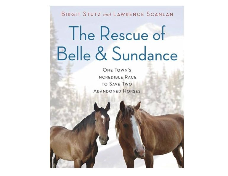 horse welfare, horse rescue, birgit stutz, horse novel