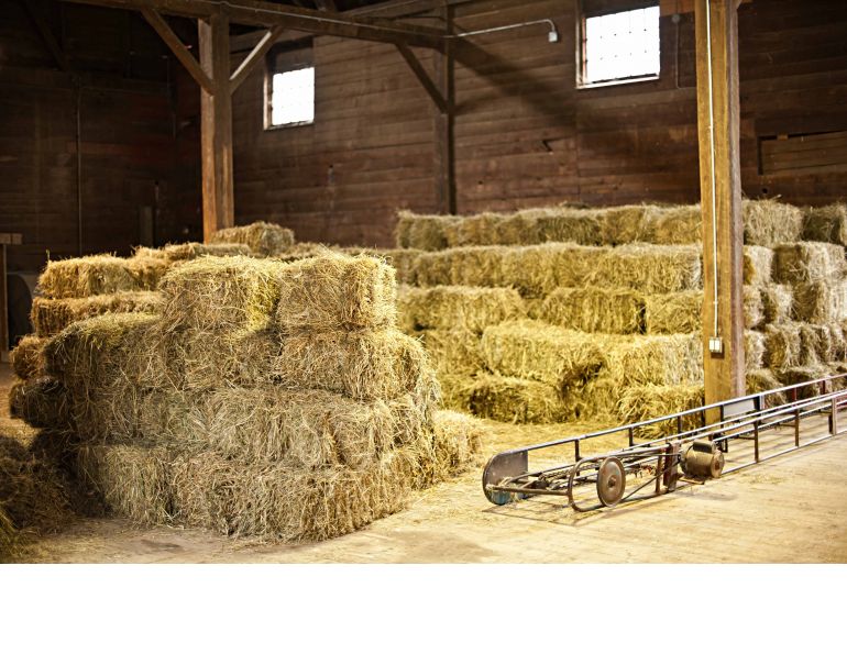 eastern hay corp, horse hay lofts need to be clean. Old horse hay, insects, heat and moisture will be very detrimental to the new horse hay stored in the loft. 