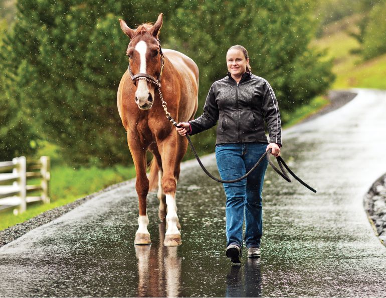 jec ballou horse trainer, rehabilitating horses, exercises to help horses, equine lameness rehab, horse postural muscles, grazing horses, equine fitness