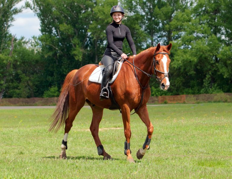 how to play with my horse, alexa linton on horse play, mindfulness activities with horses, fun equine activities, how to reduce my horse's stress, alexa linton equine sports therapist