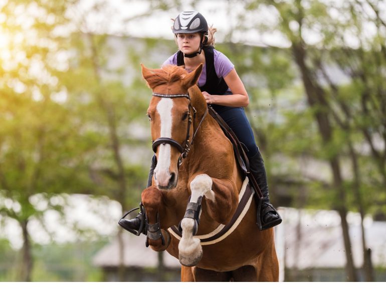 am I overtraining my horse? drawbacks of overtraining your horse, how much should I train my horse? how much time should I leave between horse training sessions?