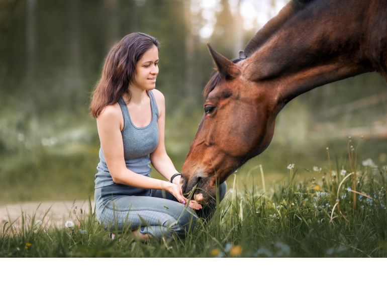 peta claims about horses, should horses be ridden? are horses better off wild? is horse riding unethical?